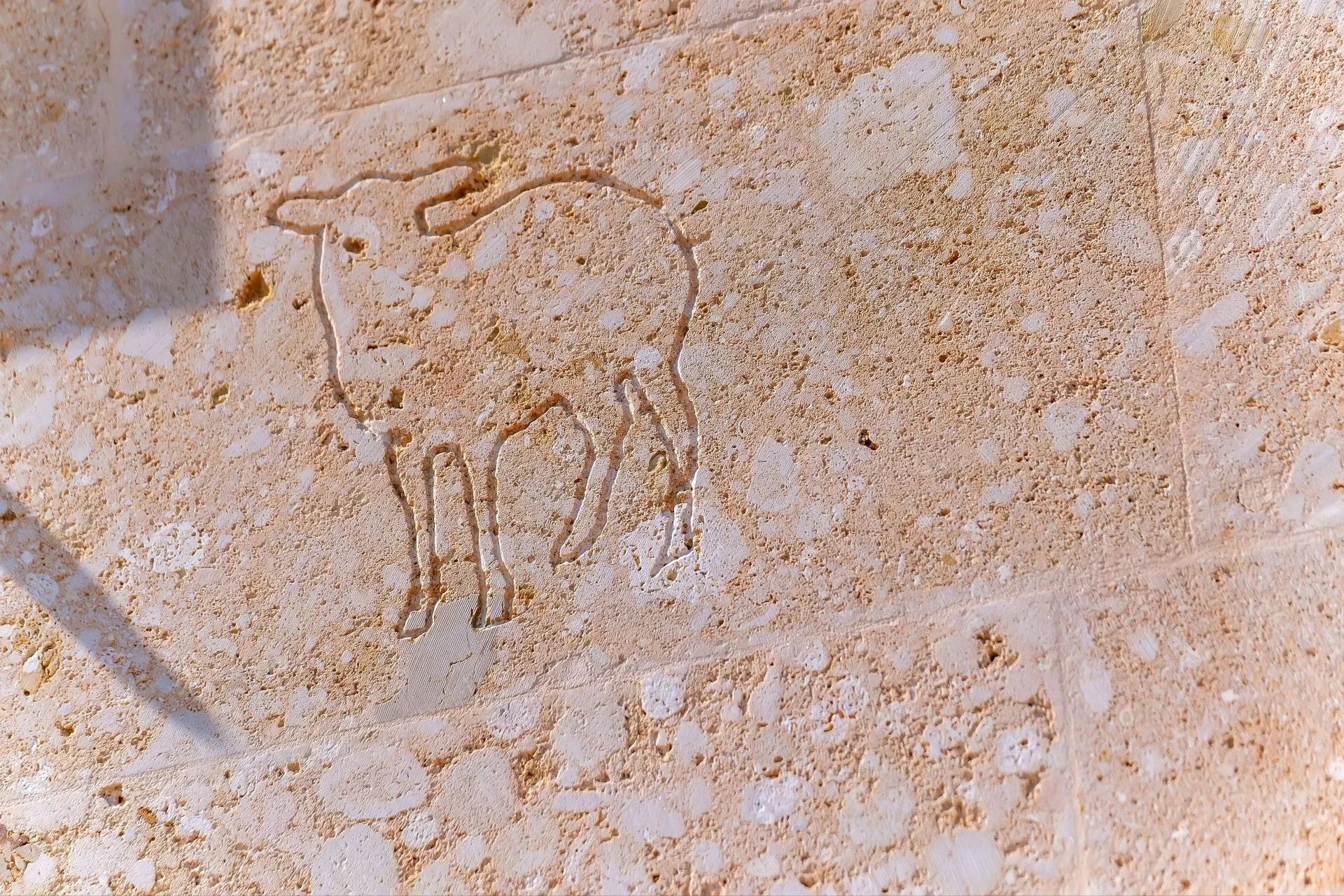 Casa · Ses Salines