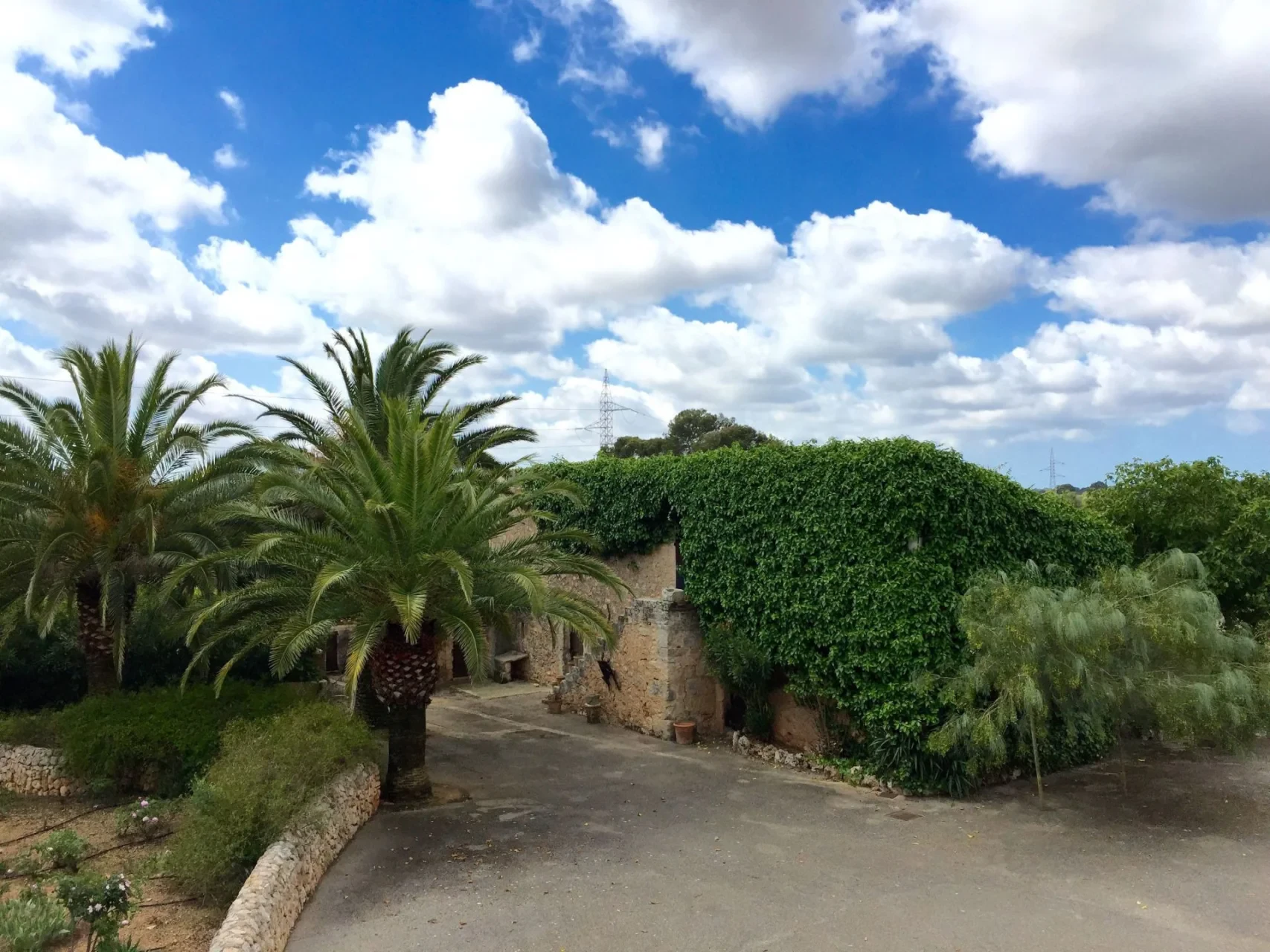 Casa · Algaida