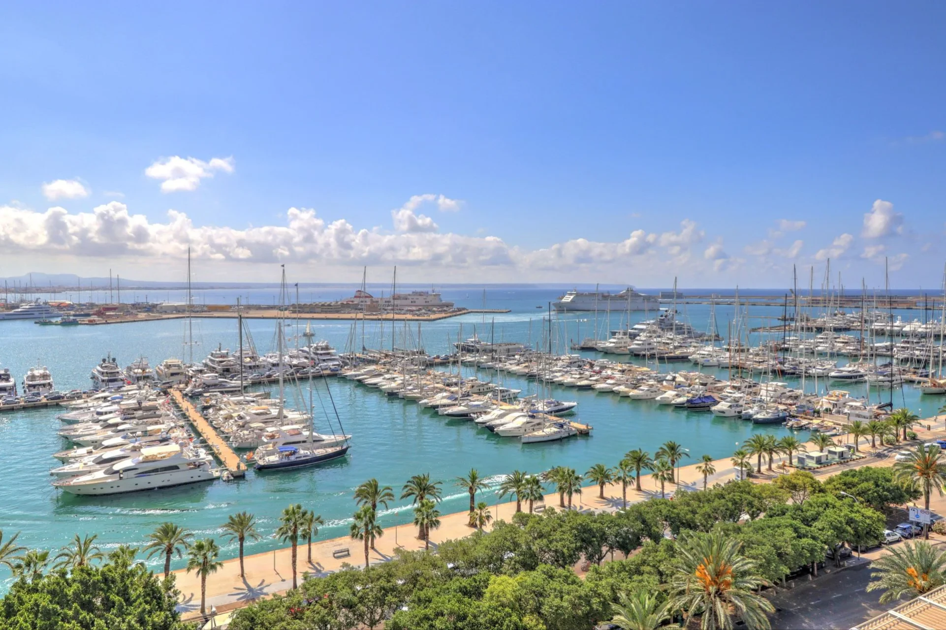 Korter · Palma