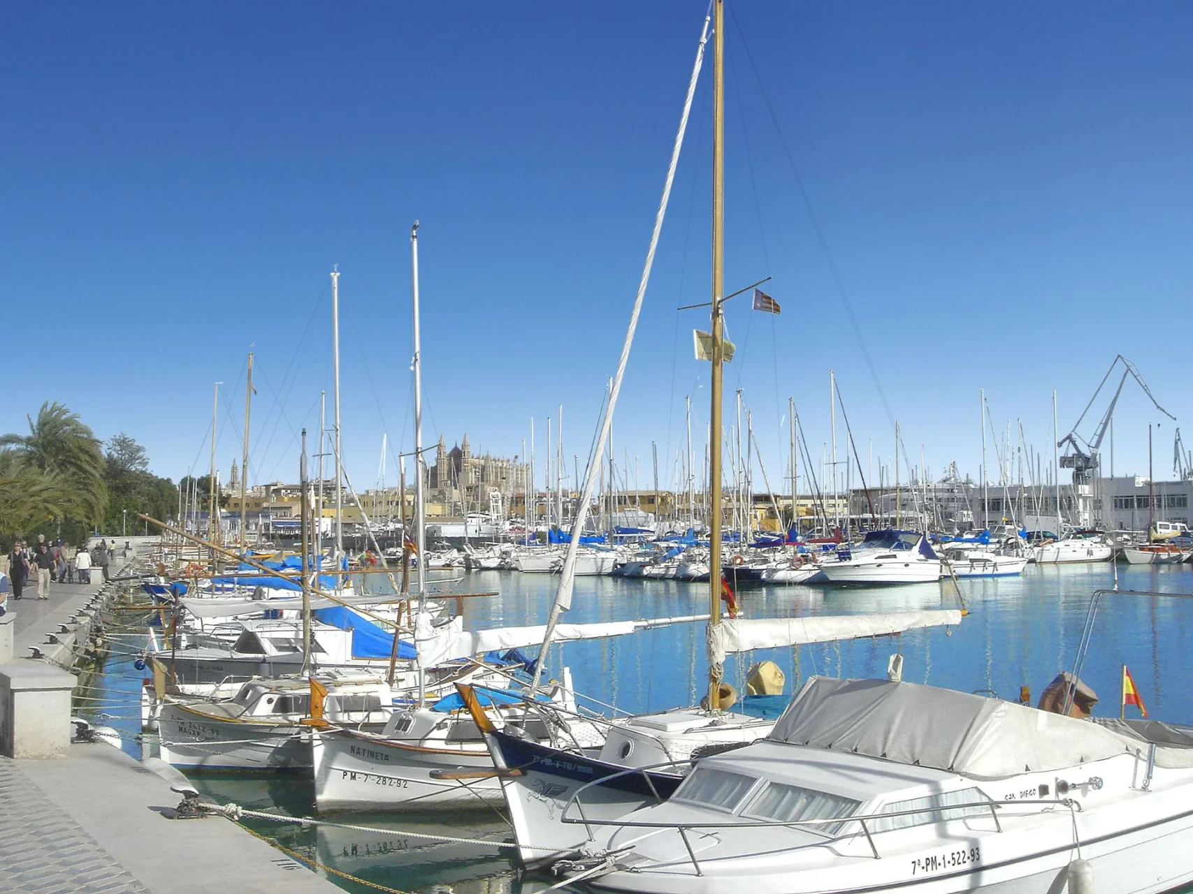 Appartamento · Palma