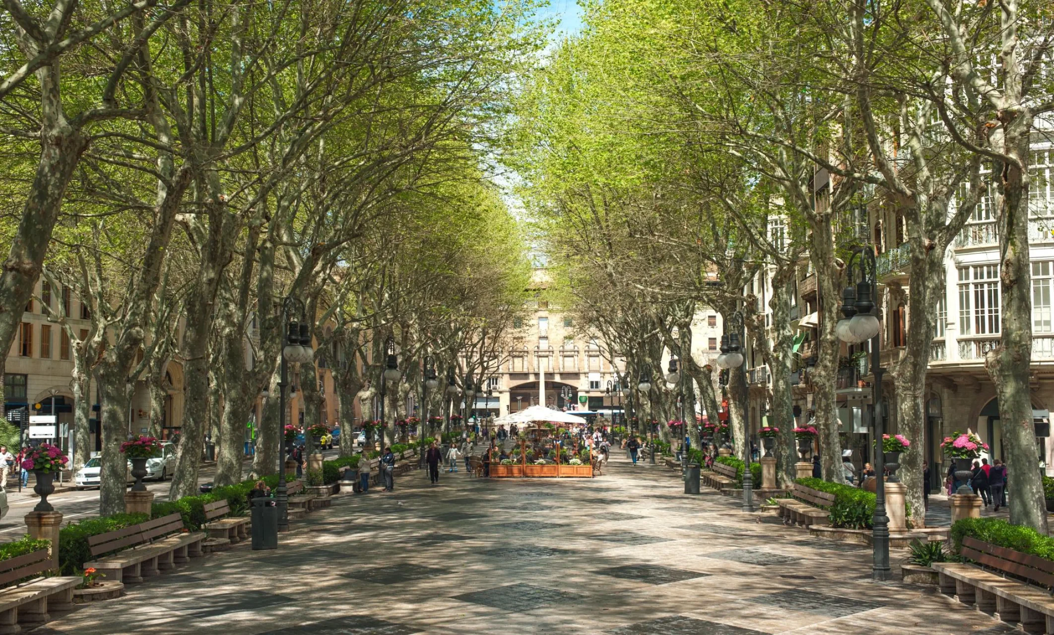 Appartamento · Palma