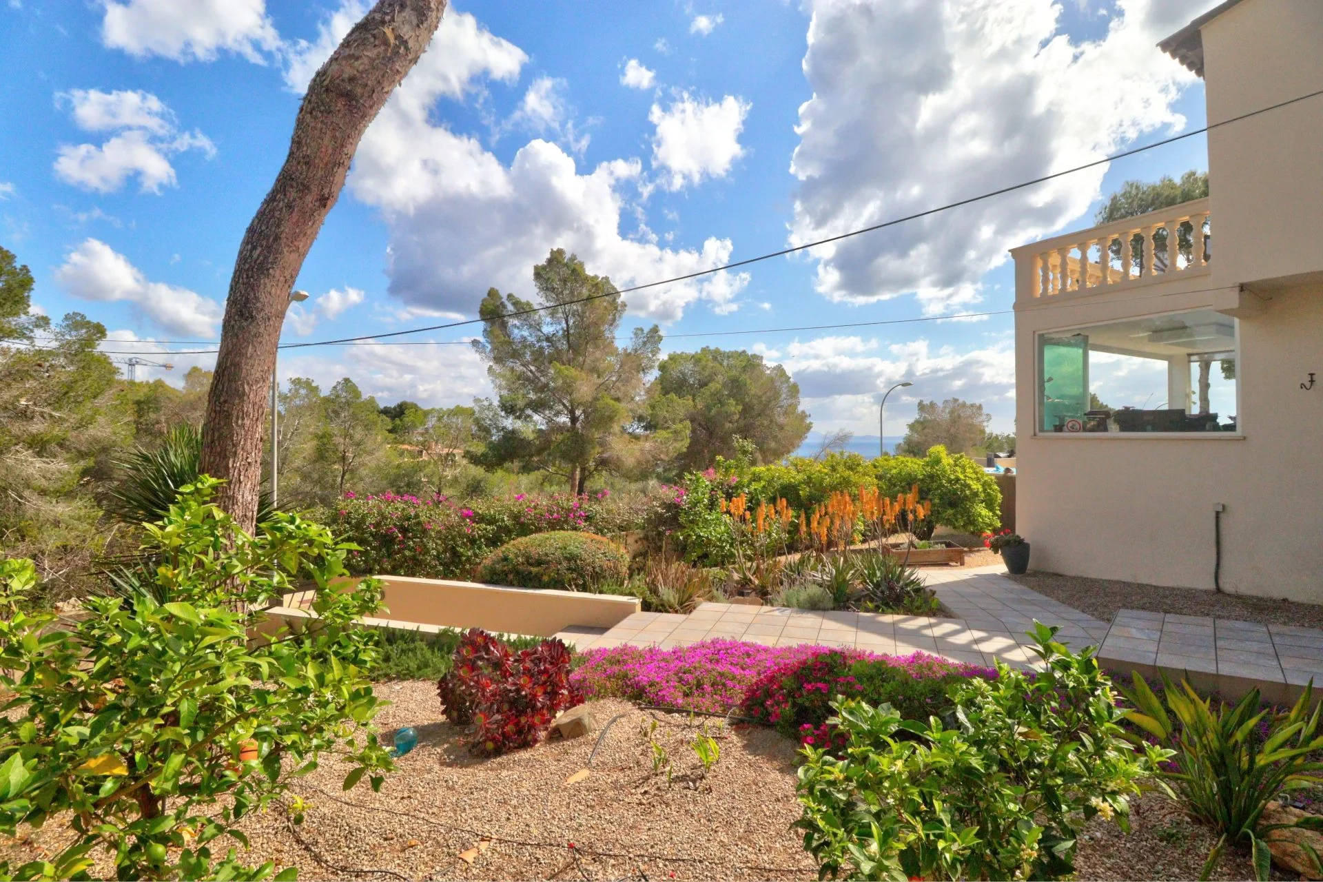 Maja · Sol de Mallorca