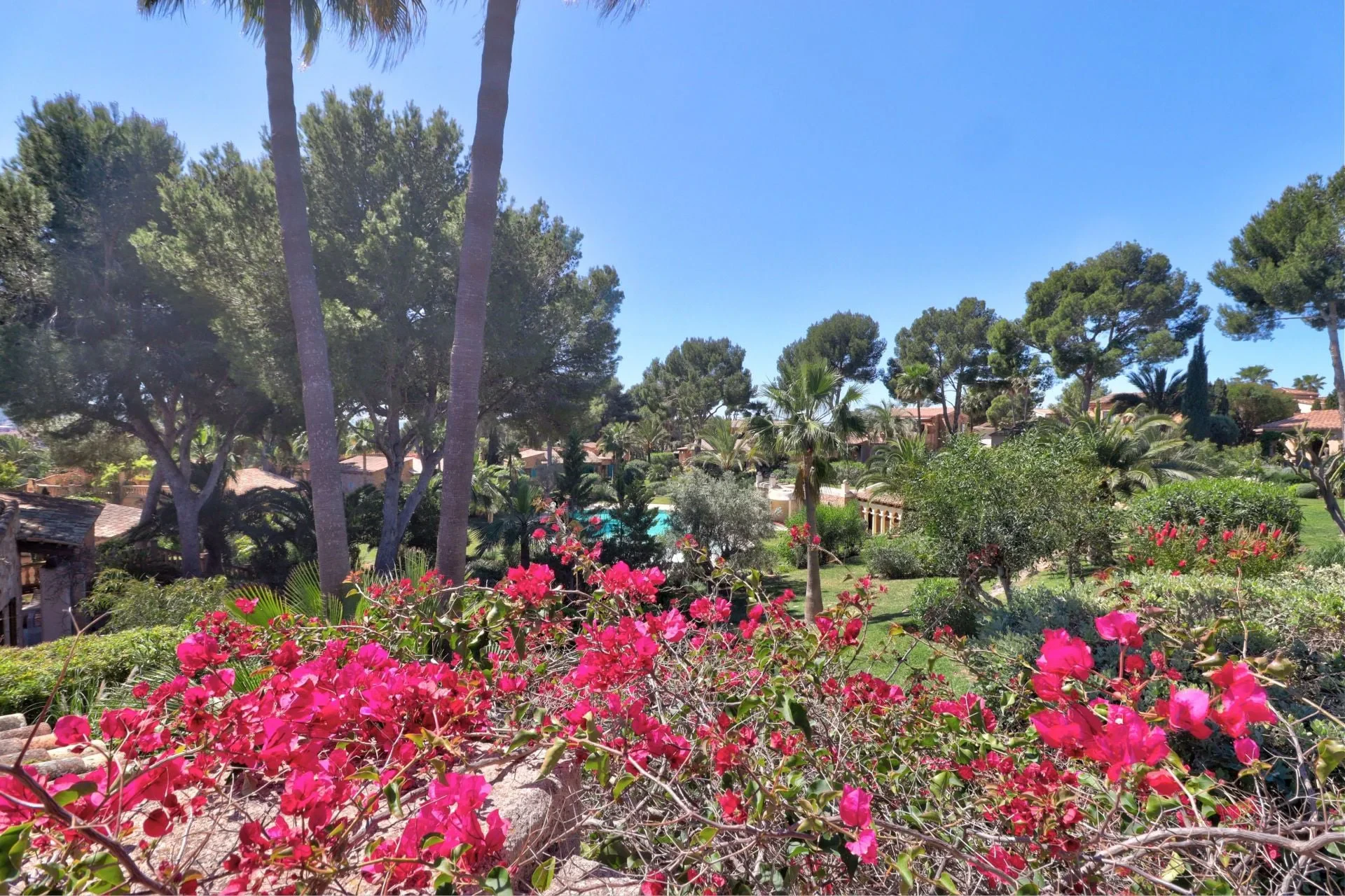Maja · Santa Ponsa