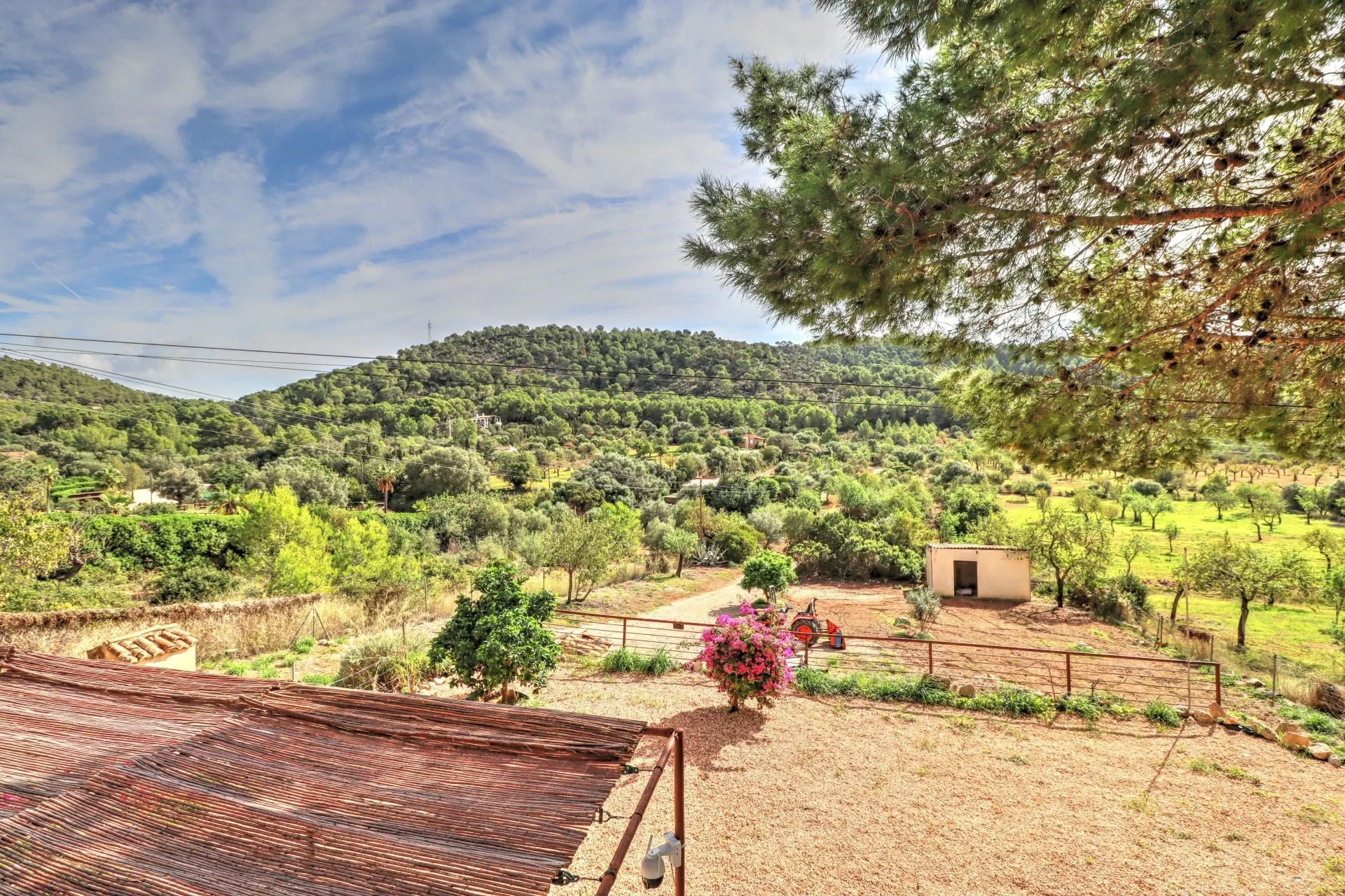 Maja · Calvià
