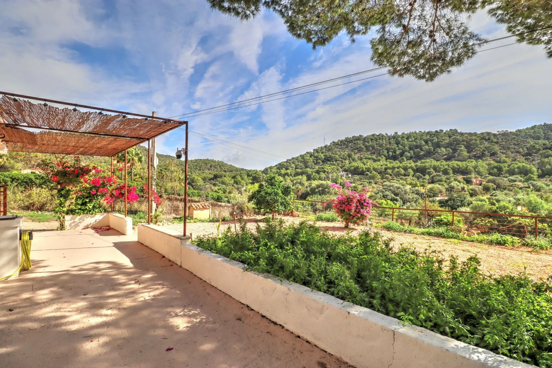 Maja · Calvià