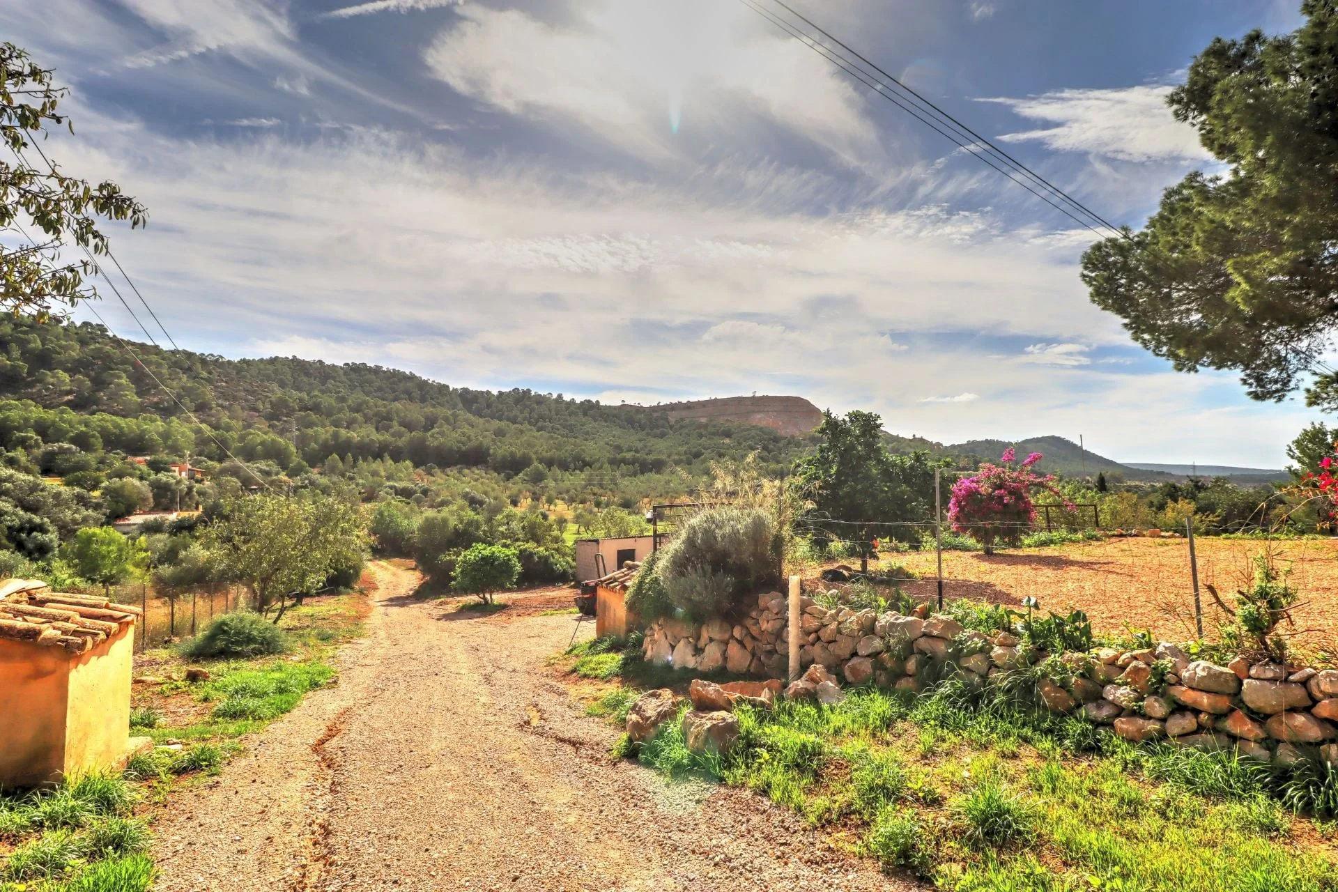 Maja · Calvià