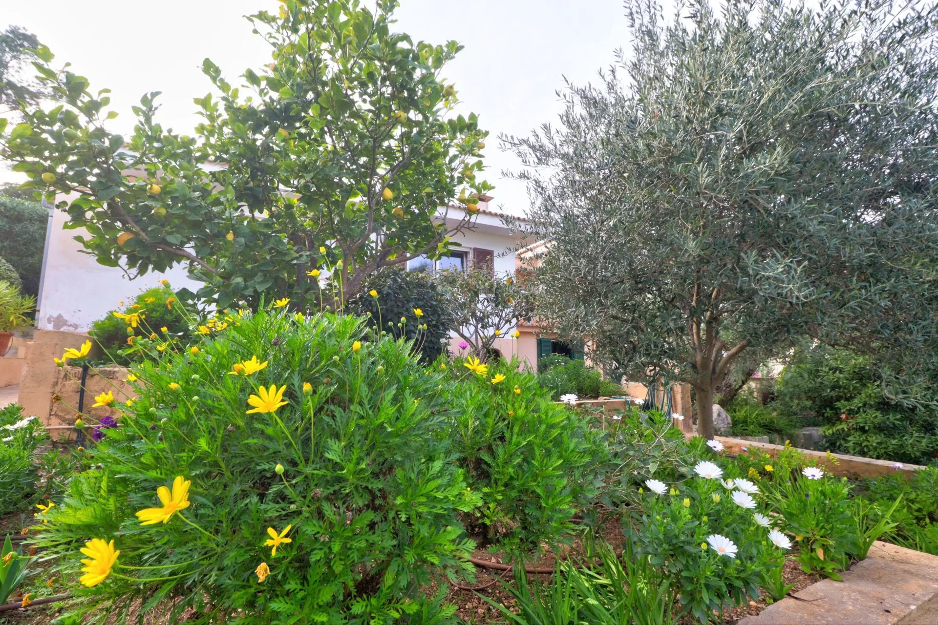 Casa · El Toro