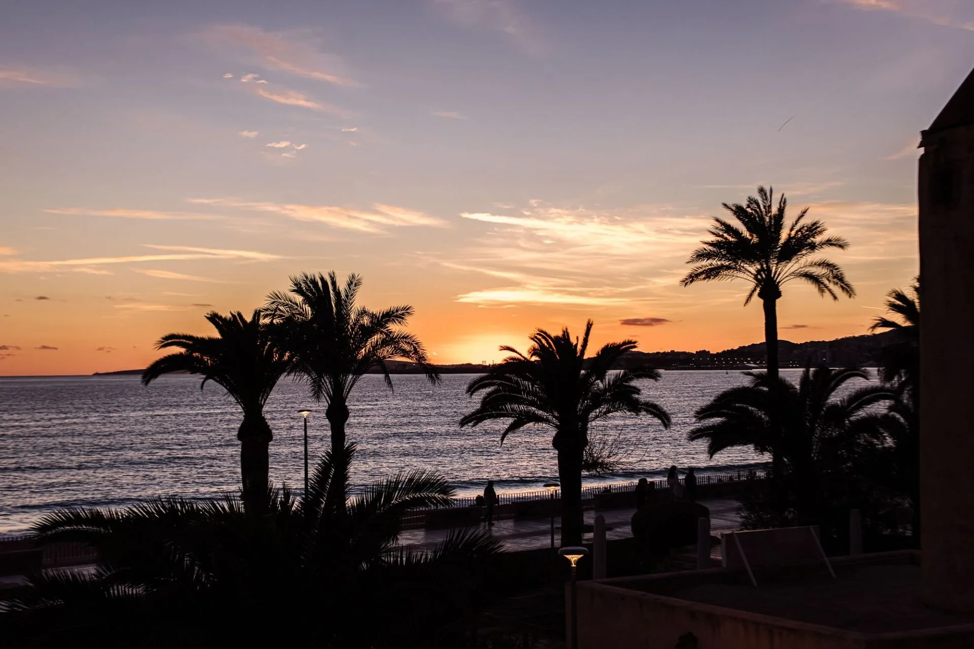 Korter · Palma
