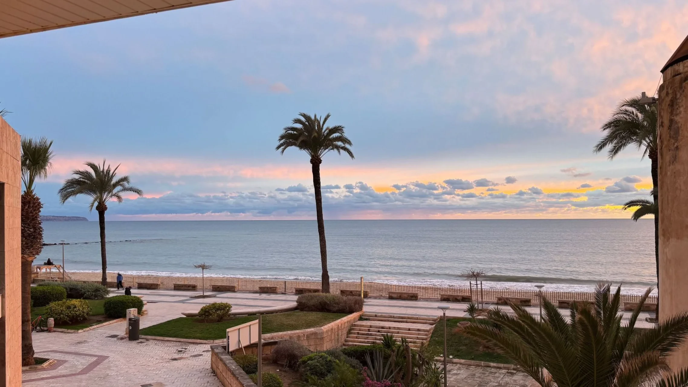 Korter · Palma