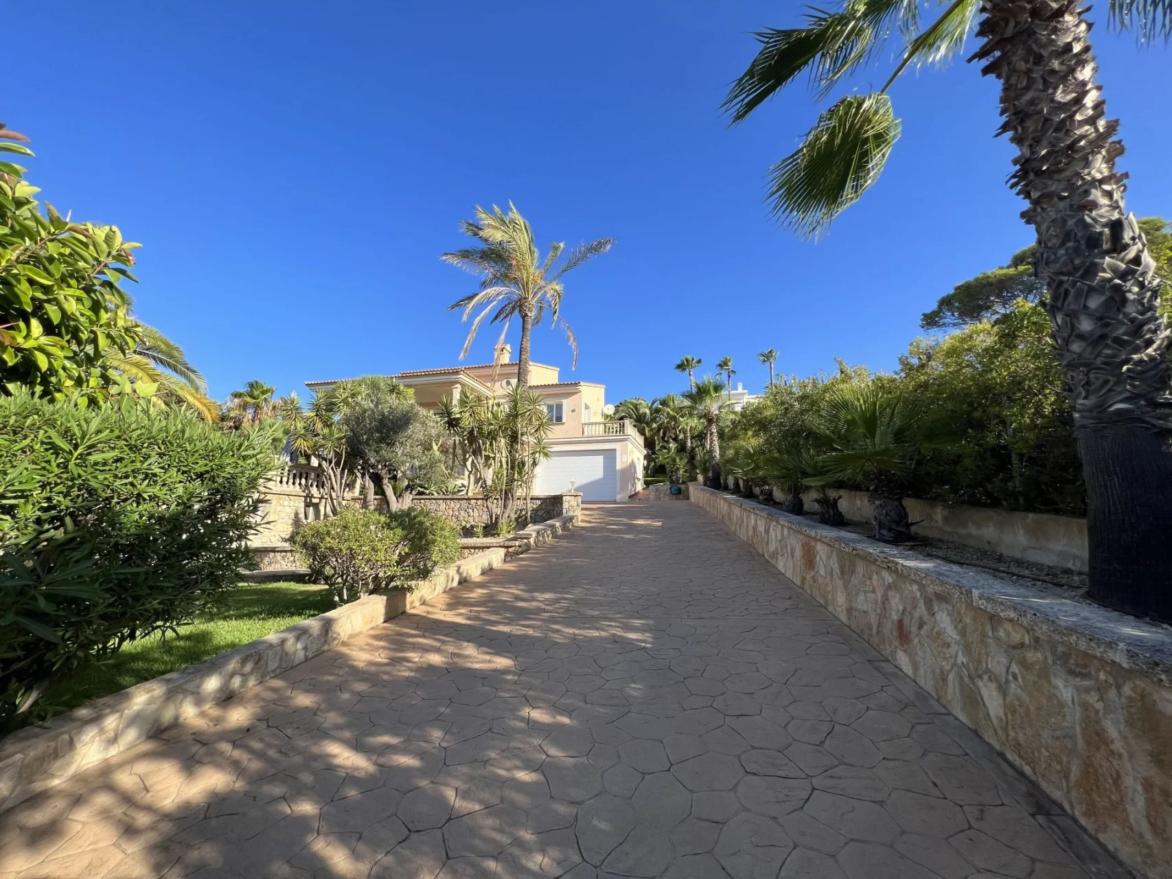 Maja · Santa Ponsa